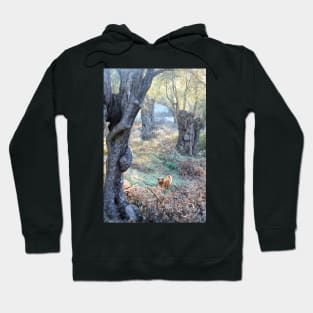 Babe in the Woods Hoodie